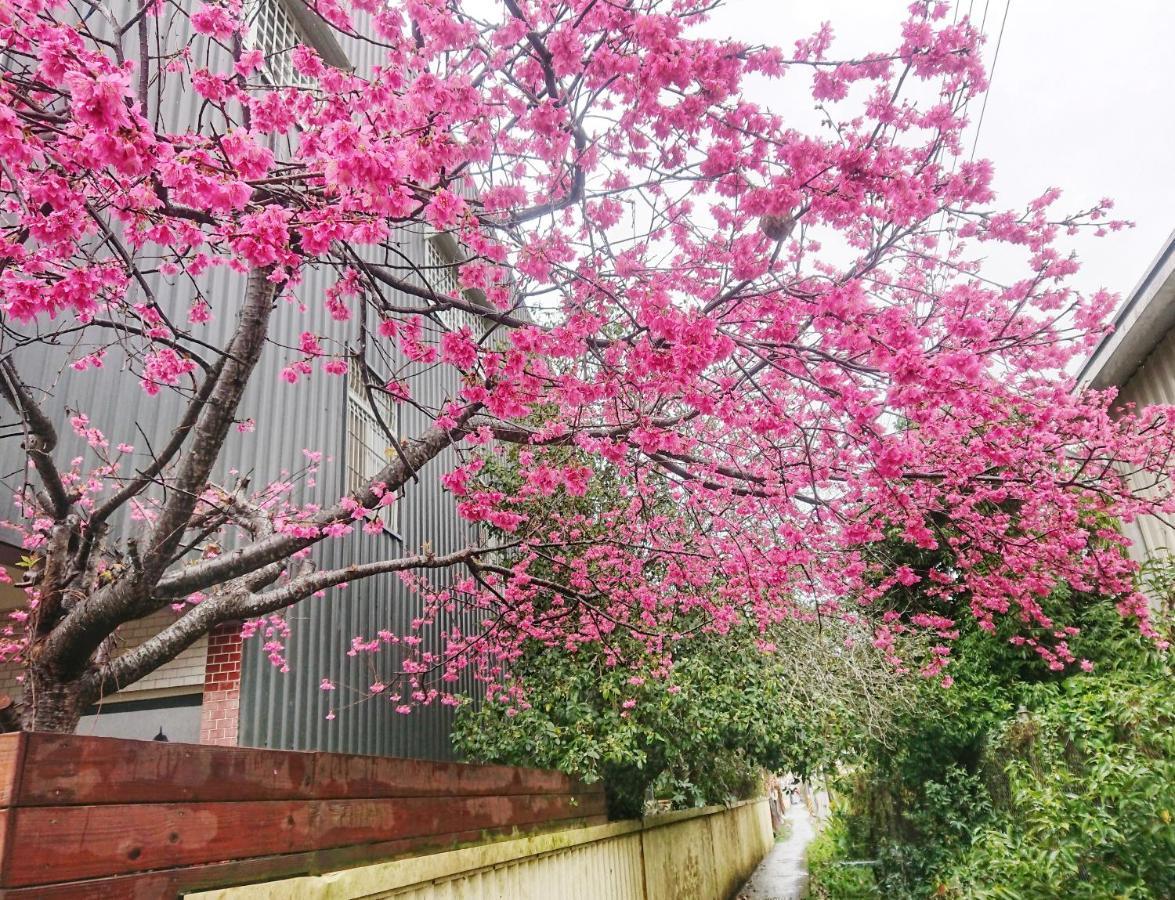 Xinshe Xiao Shu Time Homestay Exteriér fotografie